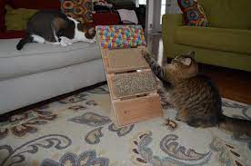 Pin On Cat Enrichment