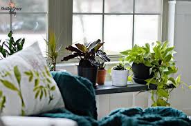 Check spelling or type a new query. 36 Diy Plant Stand Ideas For Indoor And Outdoor Decoration
