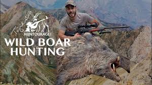 ✓ free for commercial use ✓ high quality images. Wild Boar Hunting In Tajikistan 2020 Chasse Au Sanglier Au Tadjikistan Youtube