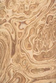 Olive Burl Wood Burled Wood Wood Veneer Wood Texture