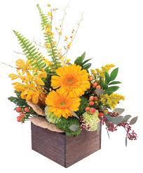 Maybe you would like to learn more about one of these? Earthy Indulgence Floral Arrangement In Durand Mi Dietrich S Flower Shop