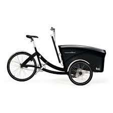 Triobike Boxter E Fahrrad Lastenfahrrad Drive