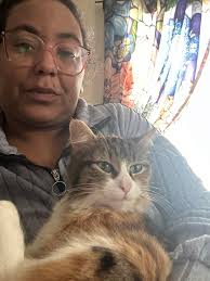 I'm the kind of cat mom that builds pillow forts for my kid.