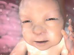 24 semanas cuantos meses son de gestacion. Embarazo Semanas 28 37 Video Babycenter En Espanol Youtube