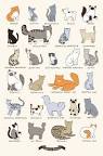 Hypoallergenic Cats: Which Cat Breeds Are Least Irritating ...