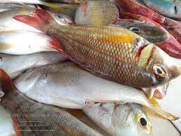 Jenis ikan ini merupakan jenis ikan kecil yang berminyak dalam keluarga clupeidae. Amie S Little Kitchen Kenali Pelbagai Jenis Ikan Di Pantai Timur Sabah