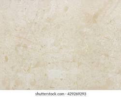 Image of Fossil Beige Marble in closeup, showcasing its fossilized patterns and beige background
