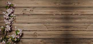 At flowers & flowers, you can expect a unique collection of beautiful plants, exclusive designs, and quick delivery from our raleigh florists. Raleigh Florists North Raleigh Nc Flowers Flowers