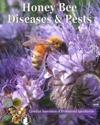 Honey bee pests are a common problem for hives throughout the world. Capa Honey Bee Diseases And Pests 3rd Edition Bee Keeping Bee Honey Bee