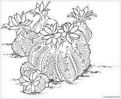 Maybe you would like to learn more about one of these? Aztekium Ritteri Cactus Coloring Pages Deserts Coloring Pages Coloring Pages For Kids And Adults