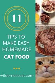 Homemade Raw Cat Food Can Seem Complicated The Recipes Are Confusing And The Amount Of Prep Can B In 2020 Raw Cat Food Recipes Homemade Raw Cat Food Homemade Cat Food