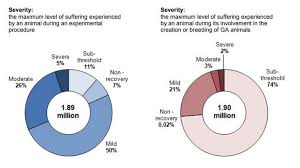 animal testing which ones are used in uk experiments bbc