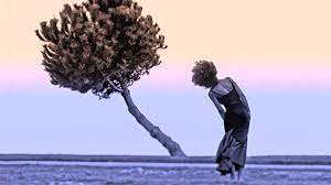 Ridimensionare l'immagine on line in tre semplici passi! La Differenza Fra Resistenza E Resilienza Dimensione Performance