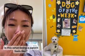 Result Page 344 for News Feed