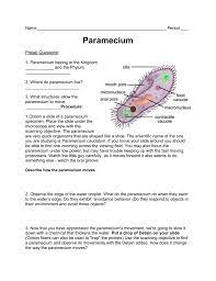0 ratings0% found this document useful (0 votes). Paramecium Coloring