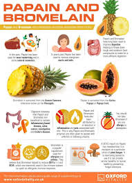 Papain And Bromelain Health Benefits Fatburning Nutrition Healing Food Health And Nutrition