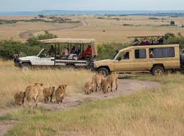 Best Time To Visit Serengeti Climate Chart And Table