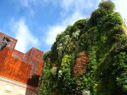 Explore an array of caixaforum madrid, madrid vacation rentals, including apartment and condo rentals, houses & more bookable online. Caixa Forum Madrid Vertical Garden Patrick Blanc