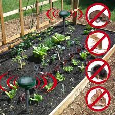 Eliminate standing water and improve. Garden Rodent Repellent Ideas Family Food Garden
