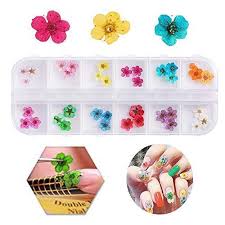 Maybe you would like to learn more about one of these? Valuu 3d Nail Art Dried Flowers Sticker 12 Colors Natural Real Dry Flo Ninthavenue Europe