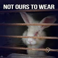 Katie Ortyl (@KatieOrtyl)