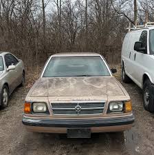 Image result for Stone Beige 1994 Reliant