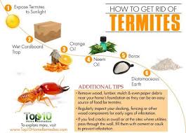 How To Get Rid Of Termites Top 10 Home Remedies Termites Termite Treatment Termites Diy