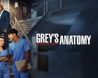 Grey's Anatomy TV Show
