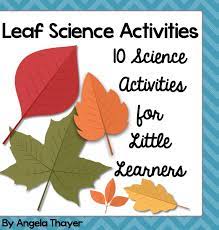 Leaf rubbing art & science activity. Leaf Science Activities Teaching Mama