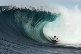 Image result for foto surfínie