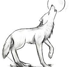 Cute Howling Wolf Drawings Google Search Cute Drawings Google Howling Search Wolf Wolf Drawing Wolf Drawing Easy Wolf Sketch