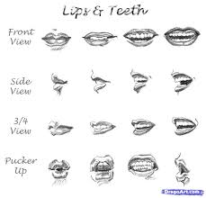 How to draw lips from the side: How To Draw Teeth Step By Step Teethwalls