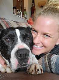 Where to find a new pitahoula dog?