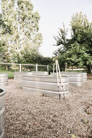 Most of the principles that apply to container planting also apply to troughs make sure you have good drainage! Why We Chose Raised Garden Beds Stock Tank Garden Beds Pros Cons Liz Marie Blog