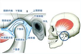 顎関節症 - 佐賀市の痛くない歯医者さん「佐賀ん歯科・こども歯科」 さん