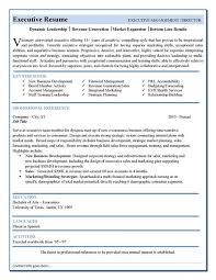 Use our sales executive resume template for word to. Resume Examples Me Nbspthis Website Is For Sale Nbspresume Examples Resources And Information Executive Resume Template Executive Resume Job Resume Template