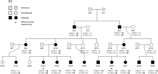 Nearly everyone shows some of these behaviors at times, but adhd lasts more than 6 months and causes problems in school, at home and in social situations. Identification Of Adhd Risk Genes In Extended Pedigrees By Combining Linkage Analysis And Whole Exome Sequencing Molecular Psychiatry