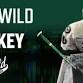 Iowa Wild vs Chicago Wolves