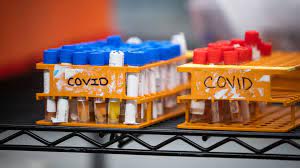 N B Reports Seven New Covid 19 Cases Thursday 117 Active Infections Remain Ctv News