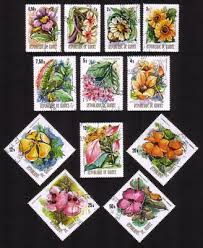 Image result for Clappertonia ficifolia