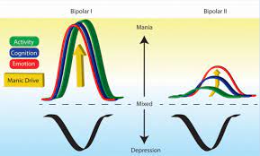 What types of bipolar are there? The Existential Crisis Of Bipolar Ii Disorder International Journal Of Bipolar Disorders Full Text