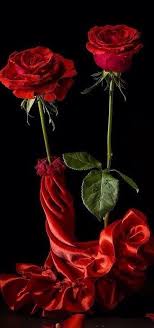 Red Roses Love 4years Today You Have Been Gone From My Eyes But In My Heart You Will Stay Forever Until We Meet Rose Flower Red Roses Beautiful Flowers