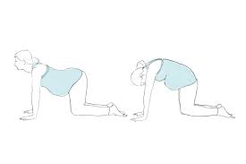 Pregnancy yoga cat pose and cow pose with pregnancy yoga expert lucy howlett. Yoga Poses For Pregnancy