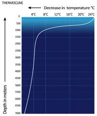 Thermocline Wikipedia