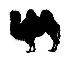 Download clker's camel silhouette clip art and related images now. Camel Silhouette Clipart Free Stock Photo Public Domain Pictures