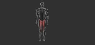 Instant anatomy is a specialised web site for you to learn all about human anatomy of the body with diagrams, podcasts and revision questions. Ravi Ranjan Singh Lower Body Human Anatomy Study