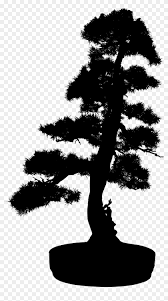Check spelling or type a new query. This Free Icons Png Design Of Bonsai Silhouette 2 Bonsai Tree Silhouette Png Clipart 3377796 Pikpng