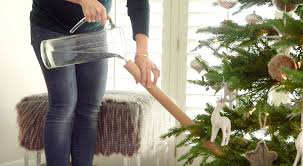Christmas trees, once decorated and brightly lit, are the penultimate holiday decoration, but authentic pines lose their brilliance fast without any nourishment. 5 Helpful Holiday Tips We Wish We Thought Of Sooner 12 Tomatoes