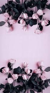 55 Ideas For Flowers Background Iphone Florals Phone Wallpapers Flowers Photography Wallpaper Flower Background Iphone Flower Background Wallpaper