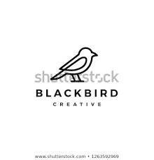 Birds Of Prey Logo Vector Pin On Bird Logo For Sale